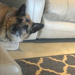 Meet your Posher, Alana